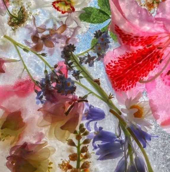 Meet your Posher, 佳奈 - Picture 1 of 1